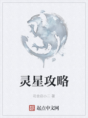灵星攻略