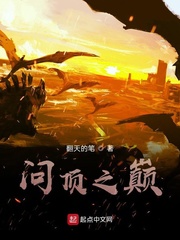 问顶之巅