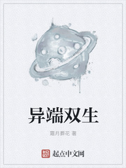 异端双生