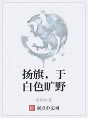 扬旗，于白色旷野