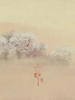 盛世异姓王